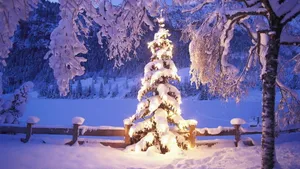 《雪夜》雪地夜景唯美壁纸_14