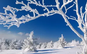 必应冬季雪景桌面壁纸
