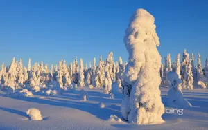 必应冬季雪景桌面壁纸_3