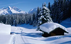 必应冬季雪景桌面壁纸_4