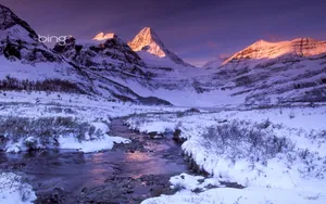 必应冬季雪景桌面壁纸_5