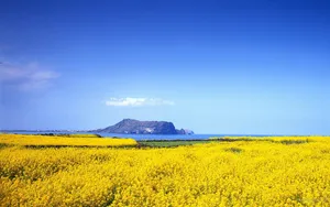 高清大屏自然风景壁纸_6