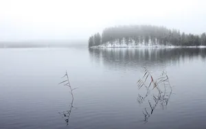 高清大屏自然风景壁纸_11