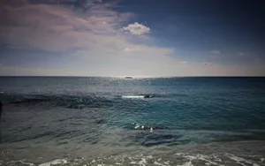 宝岛台湾风光壁纸_7