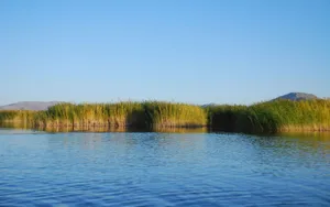 新疆可可托海风景图片_3