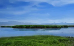 新疆可可托海风景图片_7
