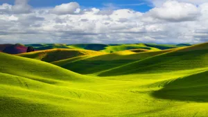 绿色养眼风景图片壁纸_5
