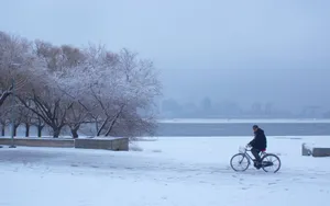 哈尔滨冬天雪景壁纸_2