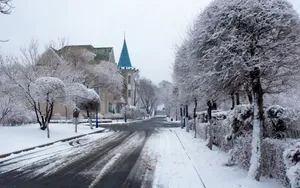 哈尔滨冬天雪景壁纸_9