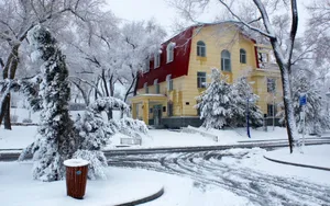 哈尔滨冬天雪景壁纸_11