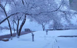 哈尔滨冬天雪景壁纸_13