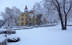 哈尔滨冬天雪景壁纸_14