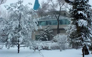 哈尔滨冬天雪景壁纸_17
