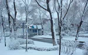 哈尔滨冬天雪景壁纸_18