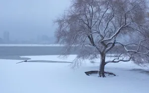 哈尔滨冬天雪景壁纸_19