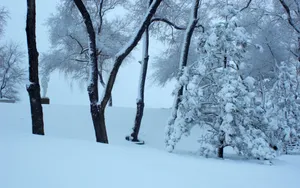 哈尔滨冬天雪景壁纸_20