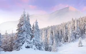 好看的雪景图片壁纸_3