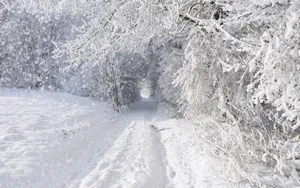 好看的雪景图片壁纸_6