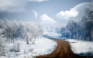 好看的雪景图片壁纸_7
