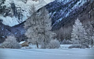 好看的雪景图片壁纸_9
