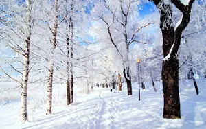 好看的雪景图片壁纸_15