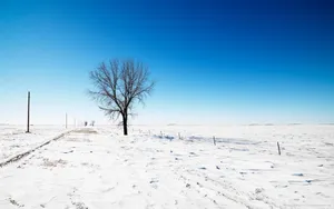 好看的雪景图片壁纸_16