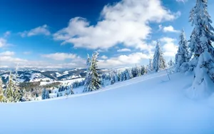 好看的雪景图片壁纸_17