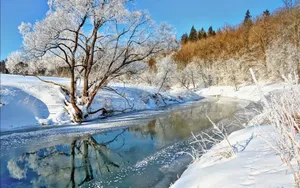 好看的雪景图片壁纸_19