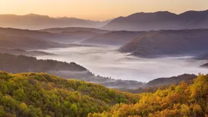 秋天美丽的雾风景壁纸