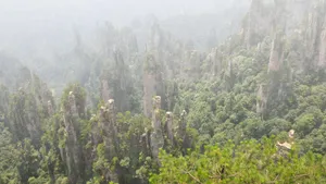 张家界国家森林公园旅游壁纸_20