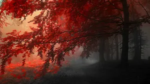 枯黄的秋季风景壁纸_4