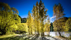 唯美秋季风景桌面壁纸_16