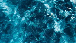 水面水纹水波图片_5