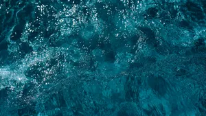 水面水纹水波图片_7
