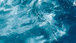 水面水纹水波图片_18