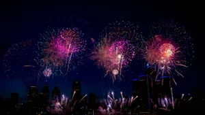夜空璀璨的烟花图片_8