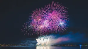 夜空璀璨的烟花图片_11