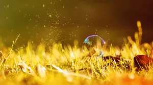 梦幻彩色泡泡图片_6