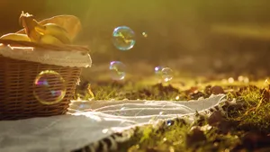 梦幻彩色泡泡图片_7