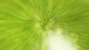 彩色光晕背景素材图片_8