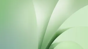 绿色背景图片壁纸_4
