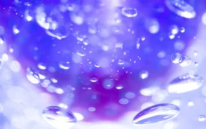 亮晶晶的背景图片素材_5
