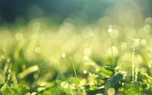 梦幻光晕炫彩图片_2