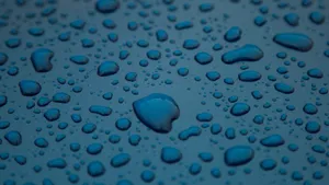 水滴图片_7