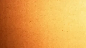 颜色鲜明的炫彩图案图片_16