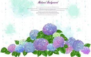 浪漫简约花朵信纸壁纸_1