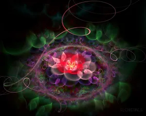 梦幻3D抽象花朵炫彩壁纸_1