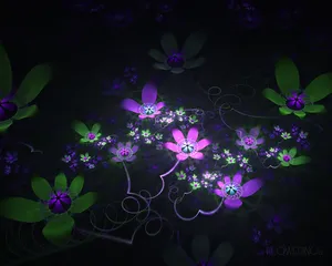 梦幻3D抽象花朵炫彩壁纸_10