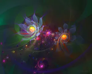 梦幻3D抽象花朵炫彩壁纸_23