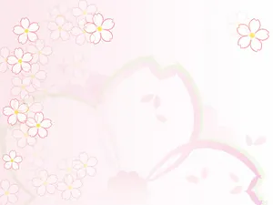 五彩布纹 第六辑_6